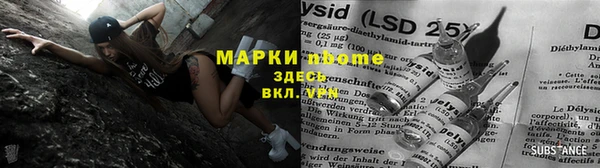 прущий лед Вяземский