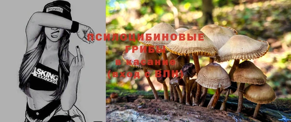 не бодяженный Горно-Алтайск