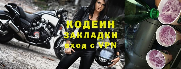 прущий лед Вяземский