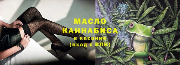 прущий лед Вяземский