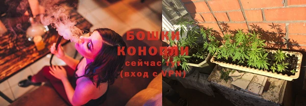 молекула духа Вязники