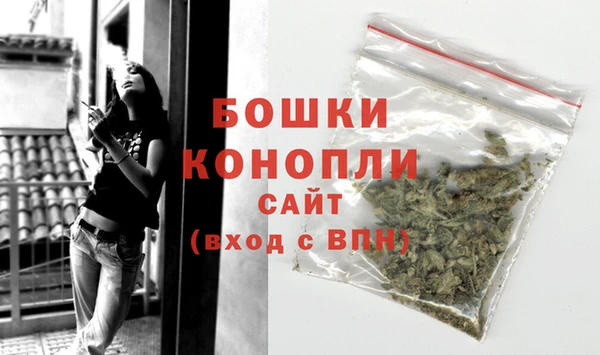молекула духа Весьегонск