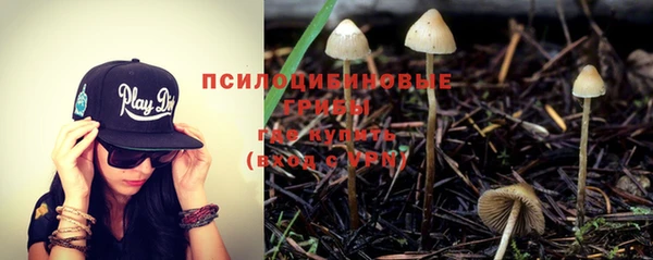 не бодяженный Горно-Алтайск